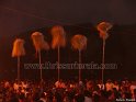 uthralikavu-pooram-2012 (42)